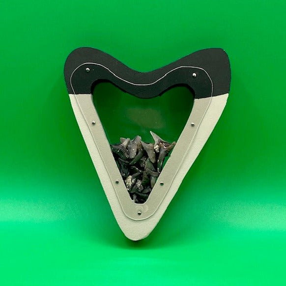 Venice 6 Club - Wall Hanging Shark Tooth Holder - Light Grey & Black – Shark  Tooth Creations