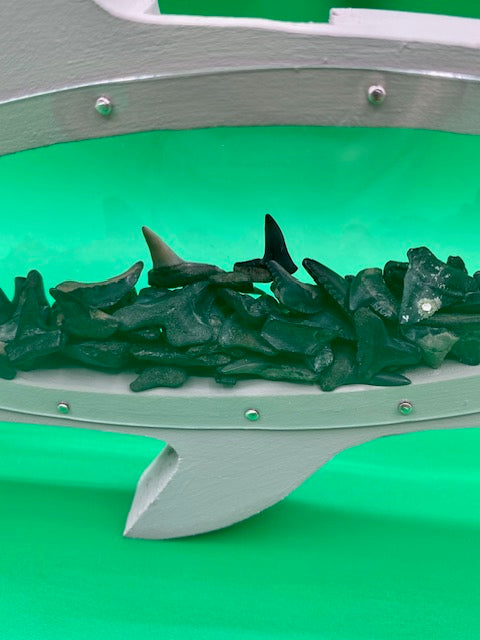 Wall Hanging Shark Tooth Holder - Light Grey – Shark Tooth Creations