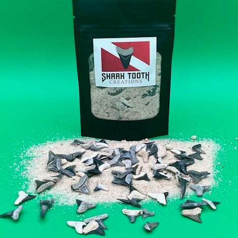 Bone Valley Shark Tooth Sand Kit - 50 Pieces