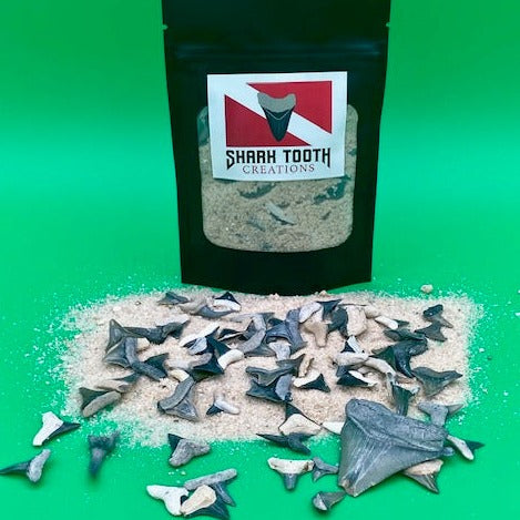 Auction: Premium Bone Valley Shark Tooth Sand Kit - 50 Pieces plus a Megalodon (5-5)