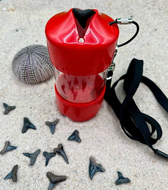Beach / River Shark Tooth Holder - Assorted Colors