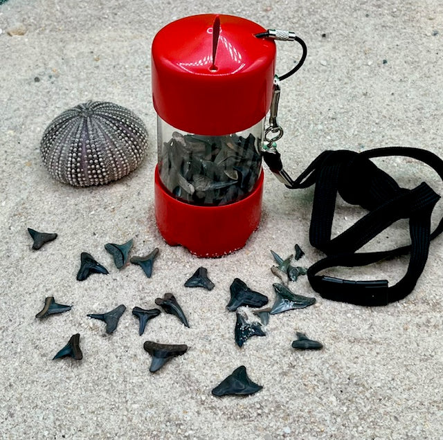 Beach / River Shark Tooth Holder - Assorted Colors