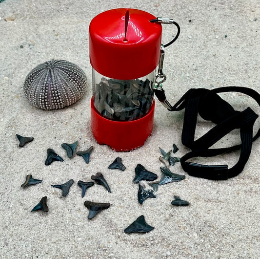 Beach / River Shark Tooth Holder - 6 Color Options