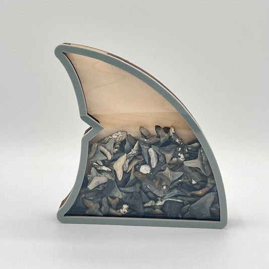 "Fin" Shaped Shark Tooth Holder - Grey Acrylic