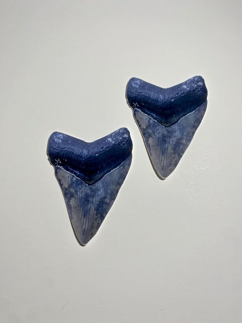 Pair of Megalodon Tooth Vinyl Stickers
