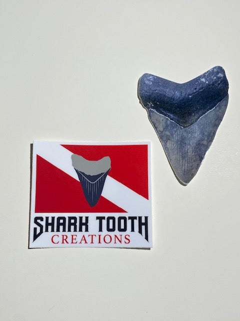 Pair of Vinyl Stickers: STC Logo & Megalodon Tooth